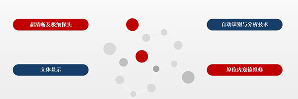 超清晰及極細探頭,自動識別與分析技術,原位內(nèi)窺鏡維修,立體顯示